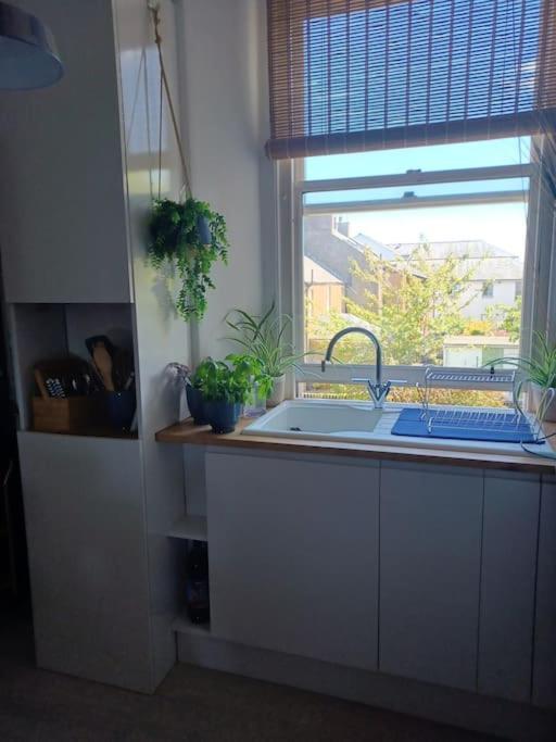 Apartamento The Fuzzy Duck Broughty Ferry Exterior foto