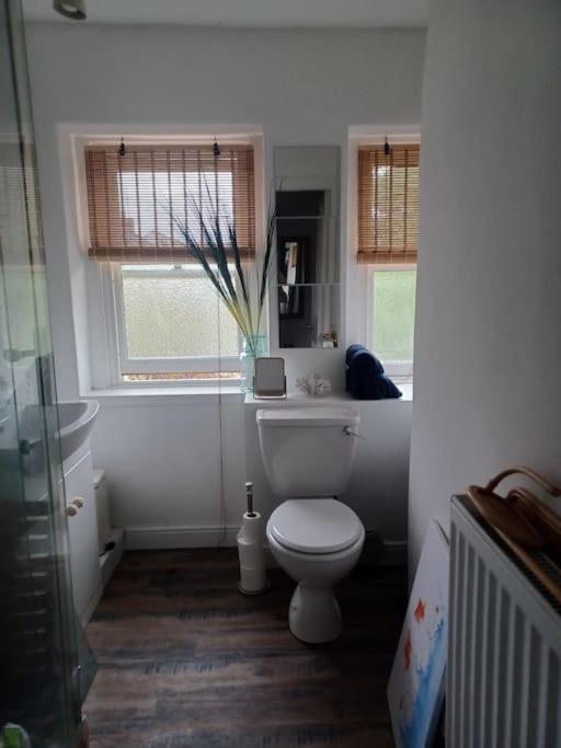 Apartamento The Fuzzy Duck Broughty Ferry Exterior foto