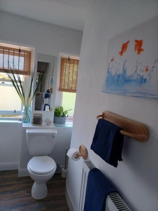 Apartamento The Fuzzy Duck Broughty Ferry Exterior foto